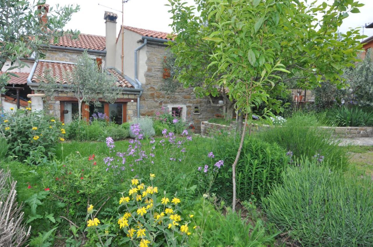 Villa Istrian Stone House Sečovlje Exterior foto